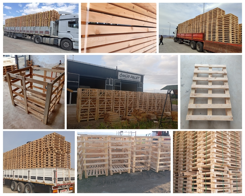 Egg Buckland Wooden Pallets, Buy Wooden Pallets Wholesale